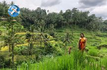Balinese cooking class and village tour with rice terrace visit