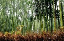 Balinese cooking class and village tour with rice terrace visit