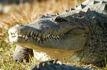 Gatorland general admission tickets