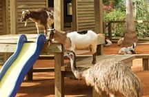 Gatorland general admission tickets