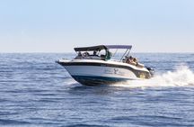 Mauritius dolphin watching cruise and Casela Nature Parks admission