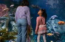 Aquarium of the Pacific Tickets