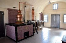 Flavors of Santorini food and wine tour