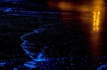 Phang Nga Bay twilight kayak tour from Phuket with meal
