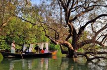 Mangrove forest sunrise Gondola tour from Koh Lanta