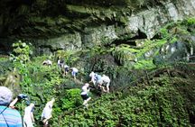 Bau Country town with Fairy cave, Rock maze and Wind cave tour