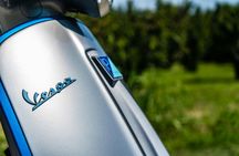 Tour with Electric Scooter in Langhe