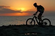 Guided e-bike tour of Alghero's coast from Fertilia