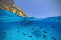 Speedboat Trip to Gulf of Orosei with Aperitif from Cala Gonone