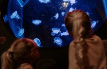 Sea Life Brighton entrance tickets