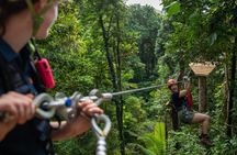 Daintree and Cape Tribulation guided tour with meal