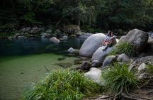 Daintree and Cape Tribulation guided tour with meal