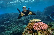 Great Barrier Reef catamaran cruise with lunch