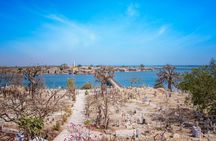 Fadiouth Seashell Island guided tour from Pointe Sarène