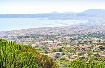 Vesuvius and Pompeii tour with entrance tickets and audio guide