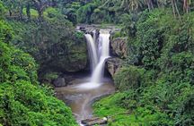 Private full-day best of Ubud tour with Jungle Swing