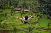 Private full-day best of Ubud tour with Jungle Swing