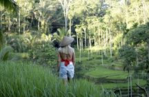 Private full-day best of Ubud tour with Jungle Swing