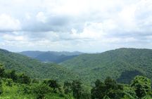 Guided Khao Yai National Park tour from Bangkok