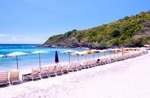 Guided Coral Islands, Koh Laan, Pattaya and Sanctuary of Truth tour
