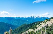 Olympic National Park full-day tour from Seattle