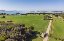 Brijuni National Park Cruise from Pula with Lunch, Drinks and Swimming