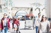 Bari street food and rickshaw tour