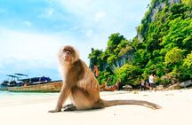 Phi Phi Islands snorkel tour by speed boat from Koh Lanta