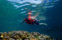 Guided tour of 4 iconic islands by longtail boat from Koh Lanta