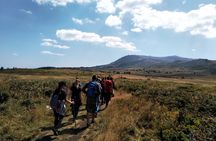 Vitosha Mountain Black Peak hiking tour