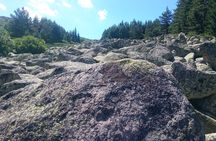 Vitosha Mountain Black Peak hiking tour