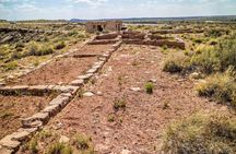 Self-guided driving audio tour of the Petrified Forest National Park