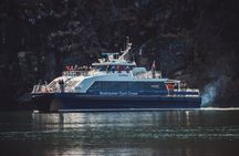 Mostraumen and Osterfjord half-day cruise