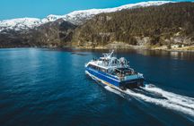 Mostraumen and Osterfjord half-day cruise