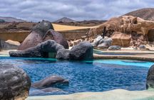 Sea Lion Interaction at Rancho Texas Park Ticket