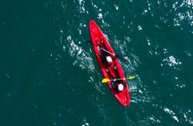 Newquay guided kayaking tour