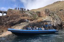 Round-trip standard pack boat tour of Berlengas from Peniche