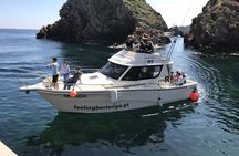 Round-trip standard pack boat tour of Berlengas from Peniche