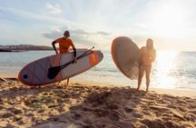 Paddleboard taster and guided tour in Newquay