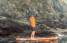 Paddleboard taster and guided tour in Newquay