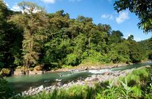 Rafting Pacuare River class III - IV ticket only