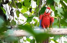 Rafting Pacuare River class III - IV ticket only