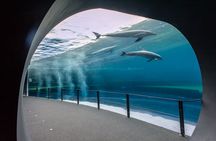 Aquarium of Genoa tickets with panera tasting experience