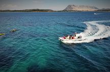 Tavolara protected area snorkeling experience from San Teodoro