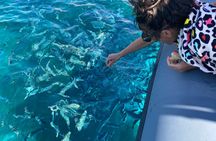 La Maddalena Archipelago Boat Tour from Palau