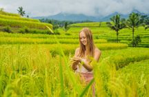 North Bali private 1-day tour