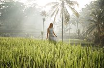 Ubud private highlights tour with pickup