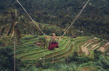 Ubud private highlights tour with pickup
