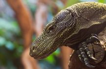 Central Florida Zoo, Botanical Gardens skip-the-line ticket