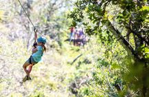 Selvatura Park Zipline & Butterfly Garden Tour